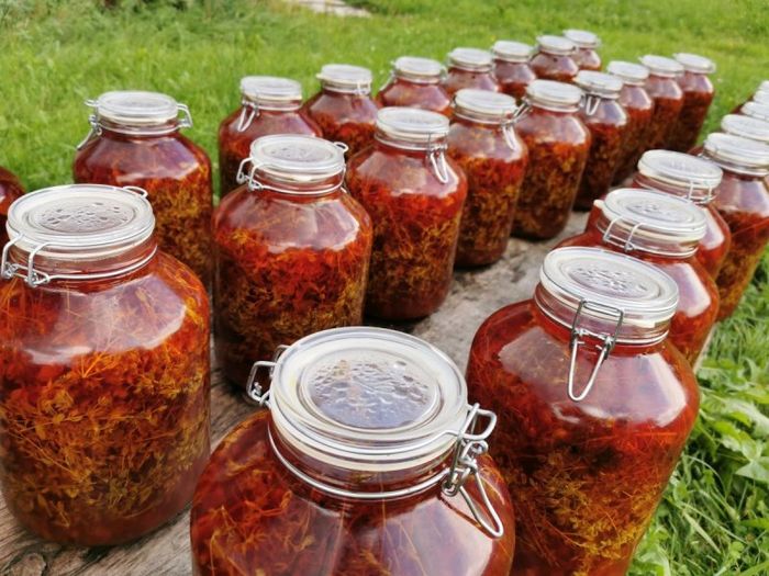 Image showing 5-liter jars of St. John's Wort oil.